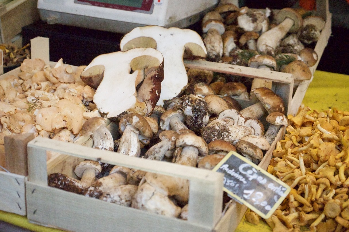 フランスの朝市、Marché(マルシェ) 新鮮なキノコ類が並ぶ