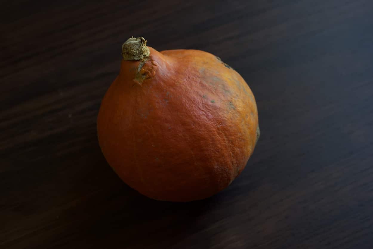 かぼちゃ Potimarron (ポティマロン) フランスの秋の味覚