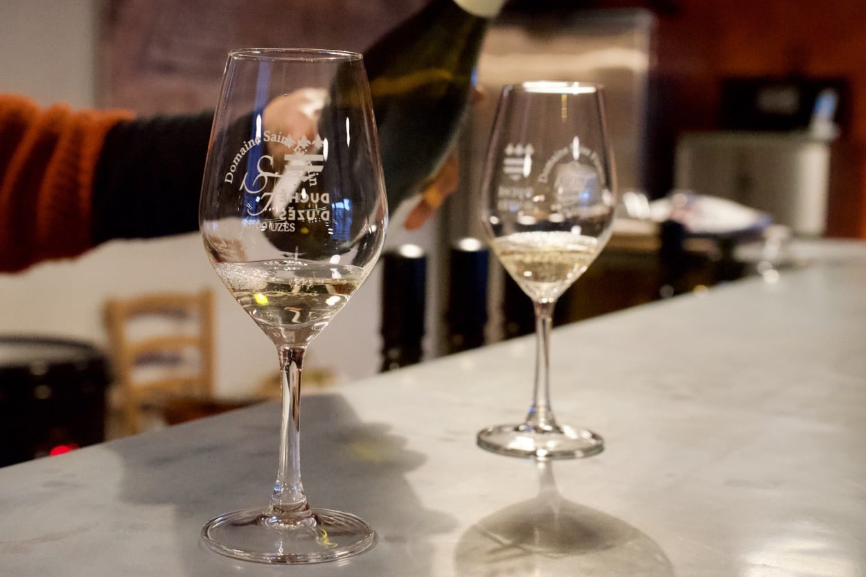 白ワインのティスティング