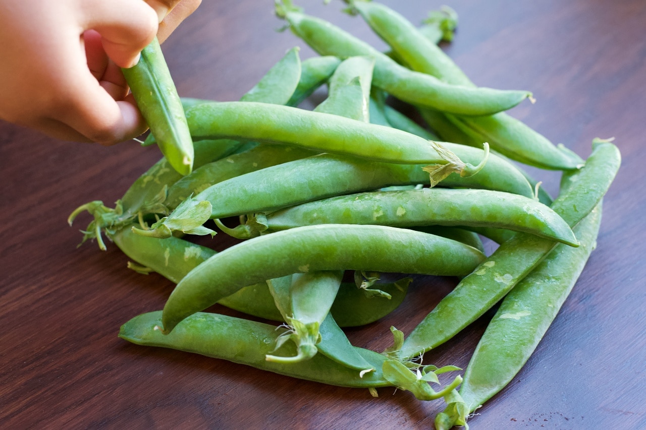 マルシェで購入した新鮮なグリンピース