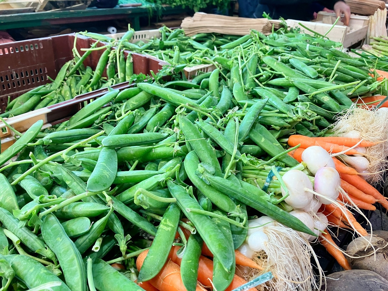 マルシェに並ぶグリンピース