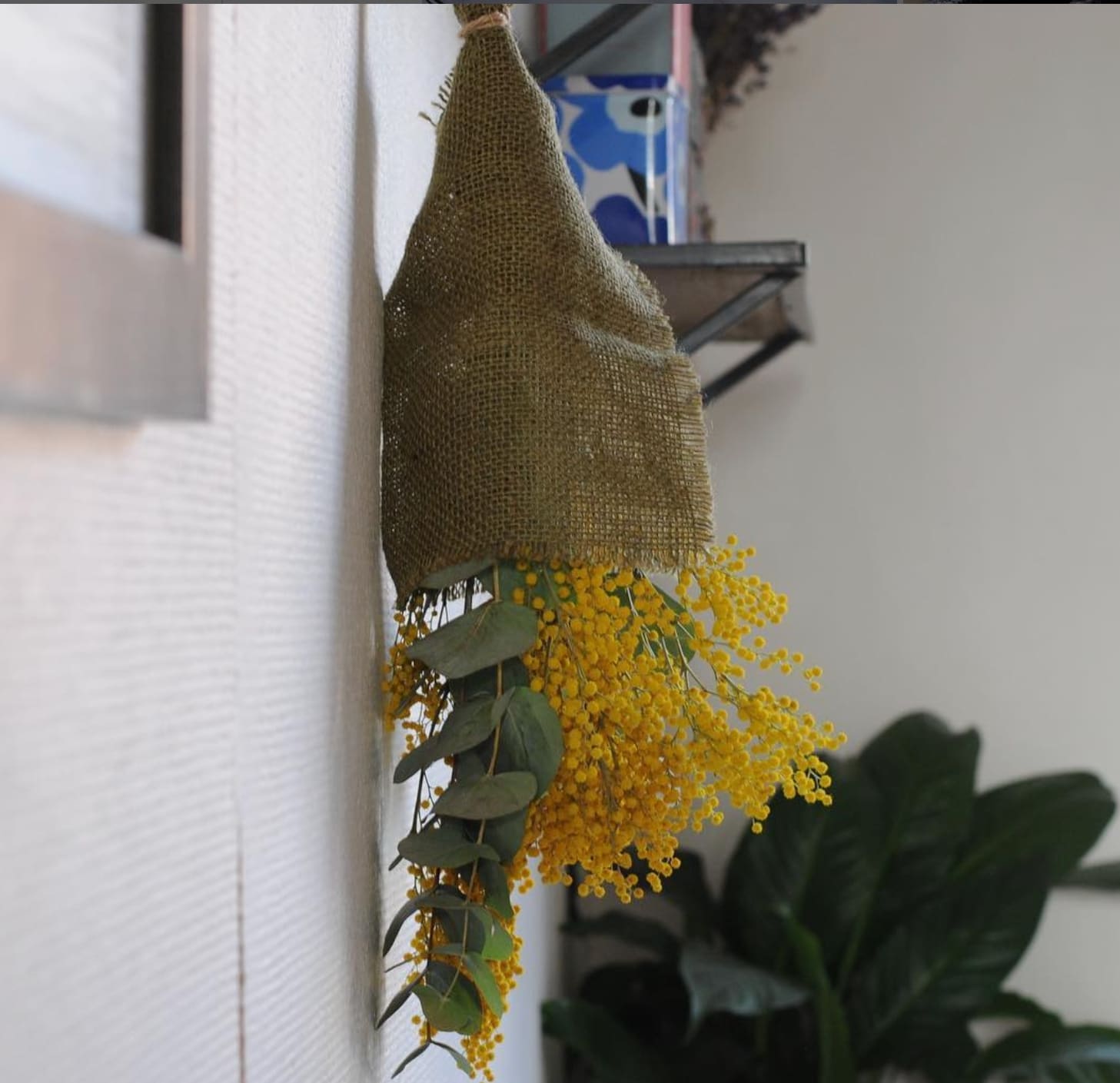 ユーカリとミモザのスワッグ