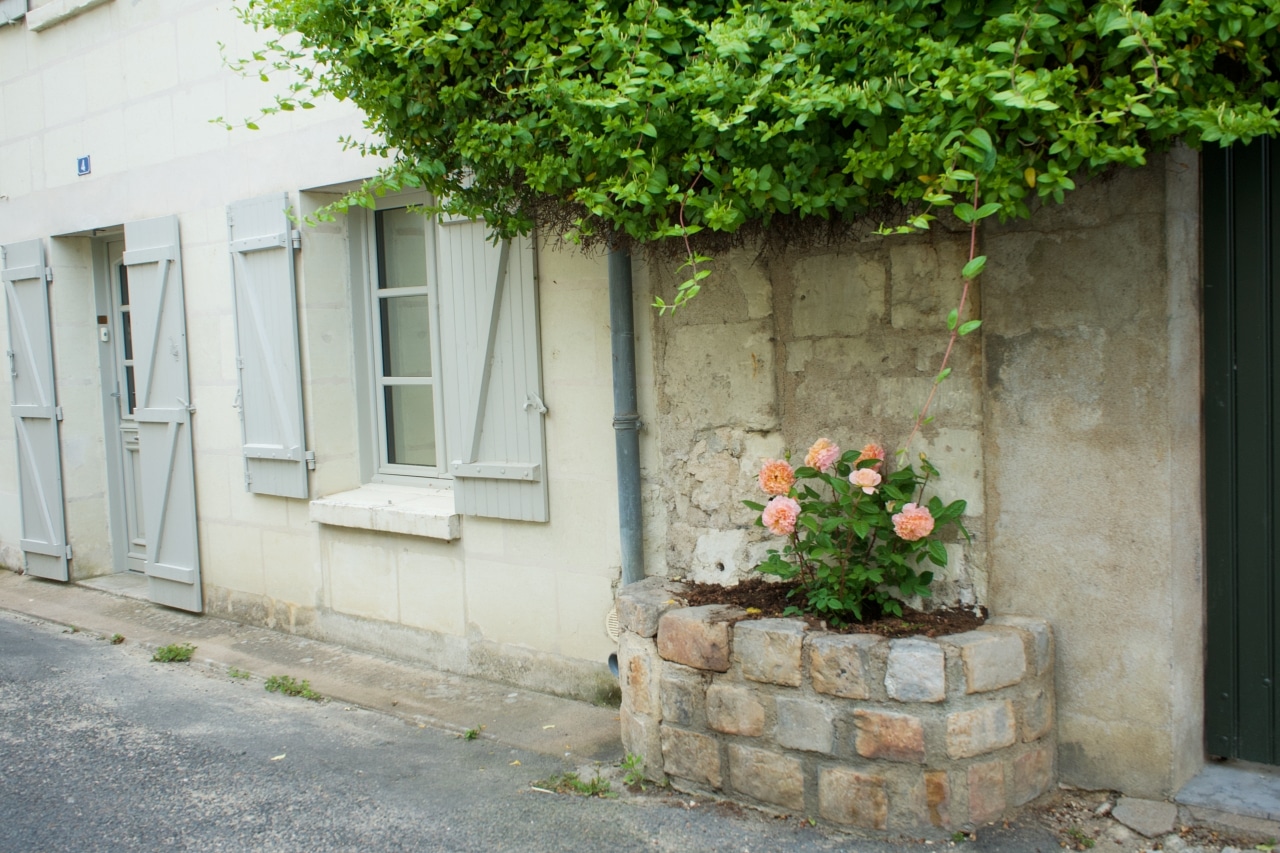 ピンクのバラが植栽されたフランスの田舎のおうち