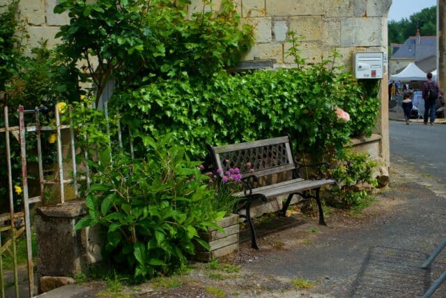フランス田舎のおうち植栽フォトさんぽ３〜お庭の目隠し植栽〜