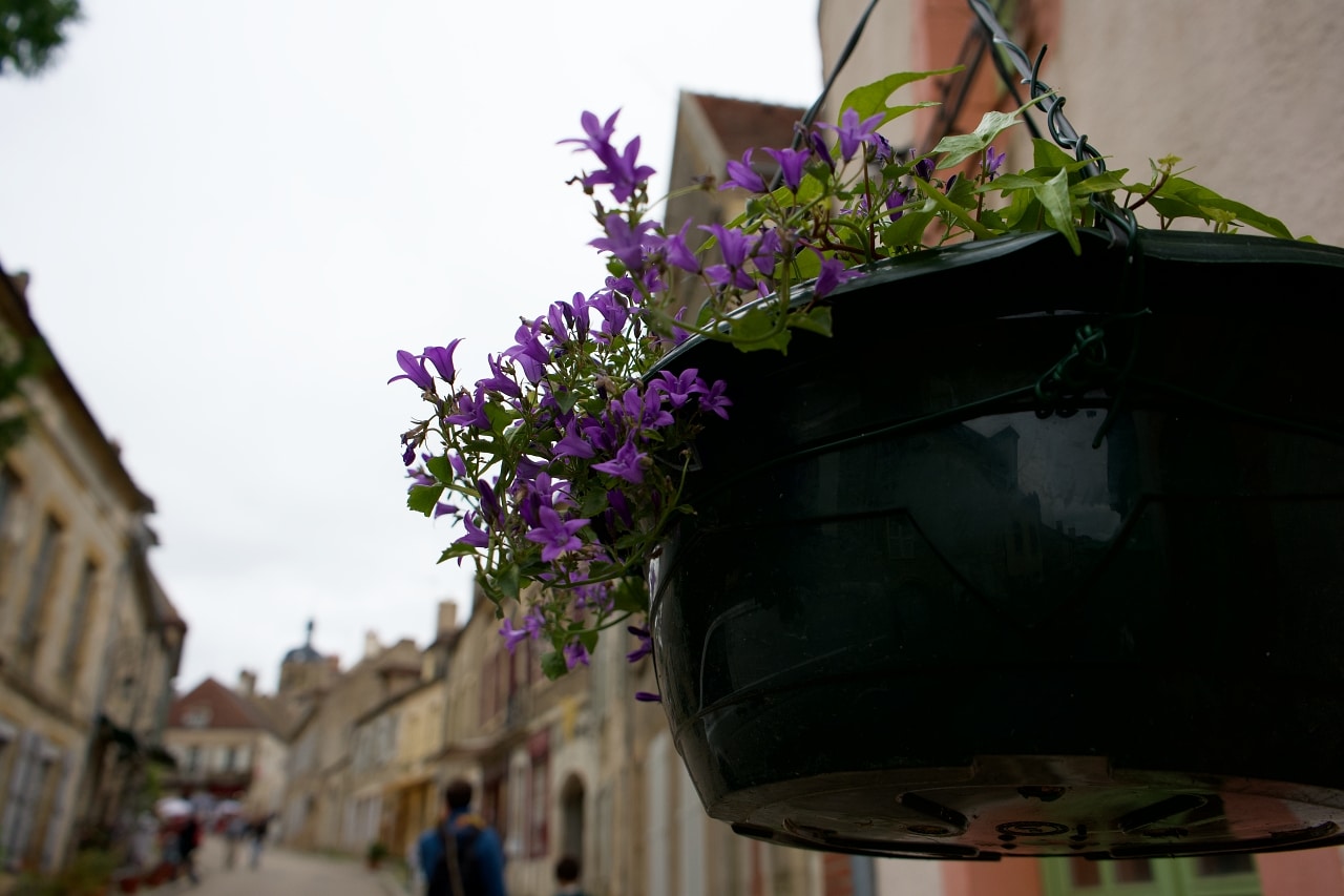 フランスの田舎の小さな庭やスペースのガーデニング