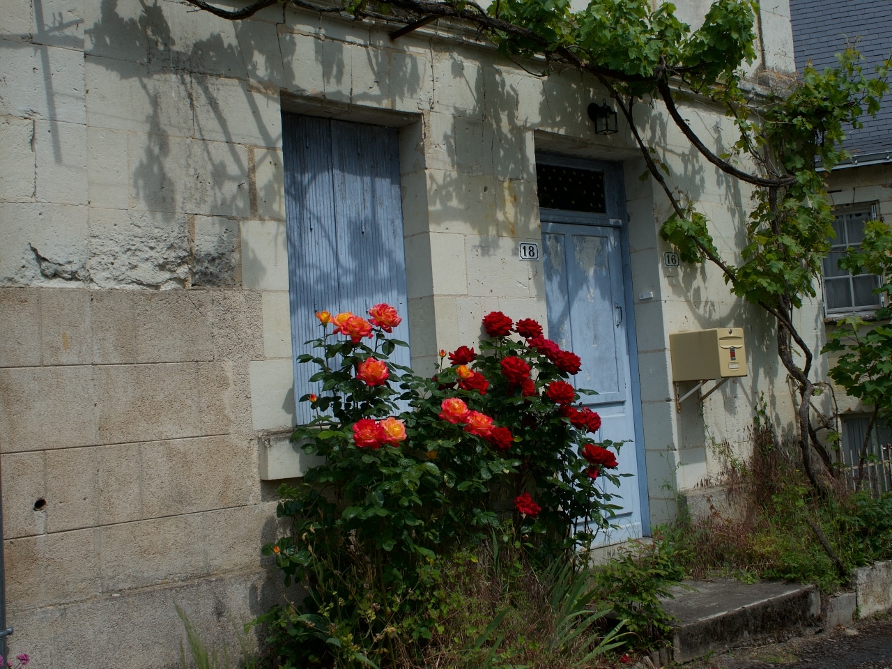 フランスの田舎の小さな庭やスペースのガーデニング