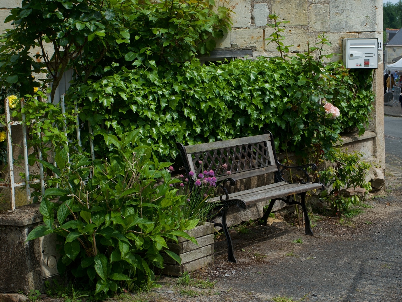 フランスの田舎の小さな庭やスペースのガーデニング