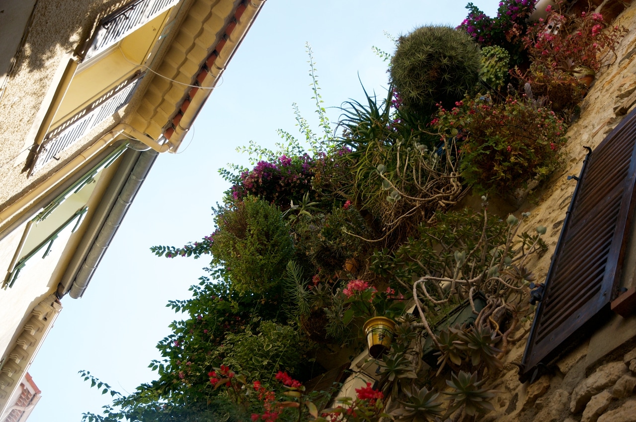 フランスの田舎の小さな庭やスペースのガーデニング