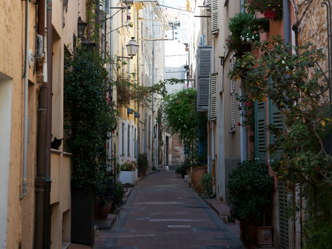 フランスの田舎の小さな庭やスペースのガーデニング