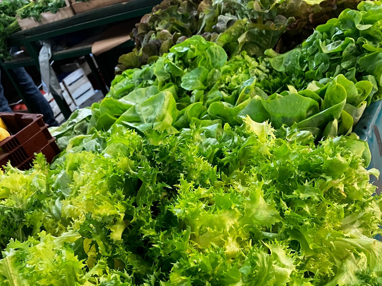 マルシェで販売されているサラダ菜