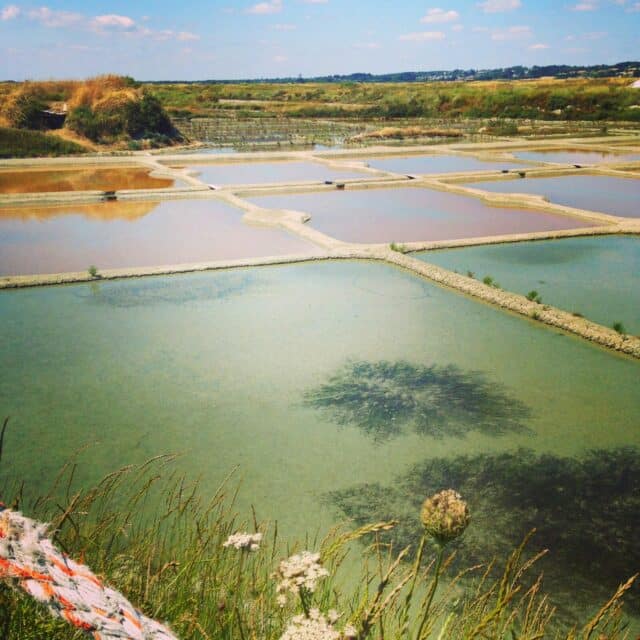 ゲランドの塩田